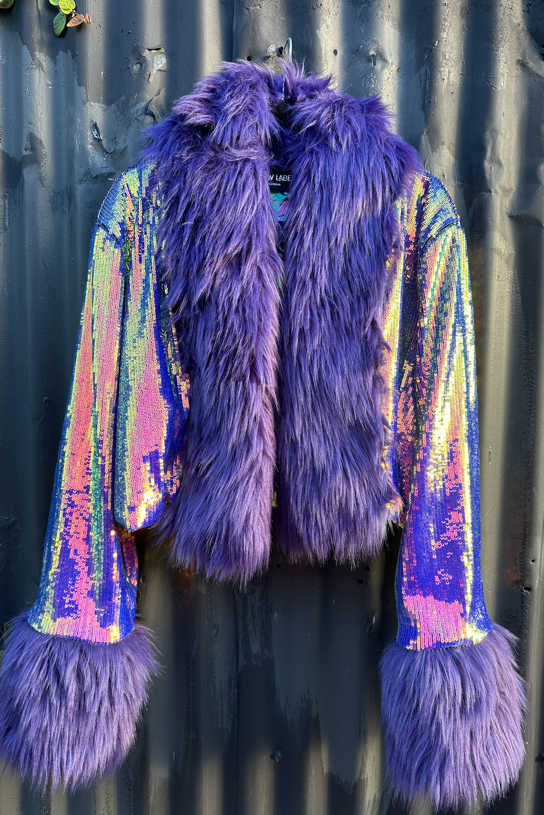 Purple People Eater Crop
