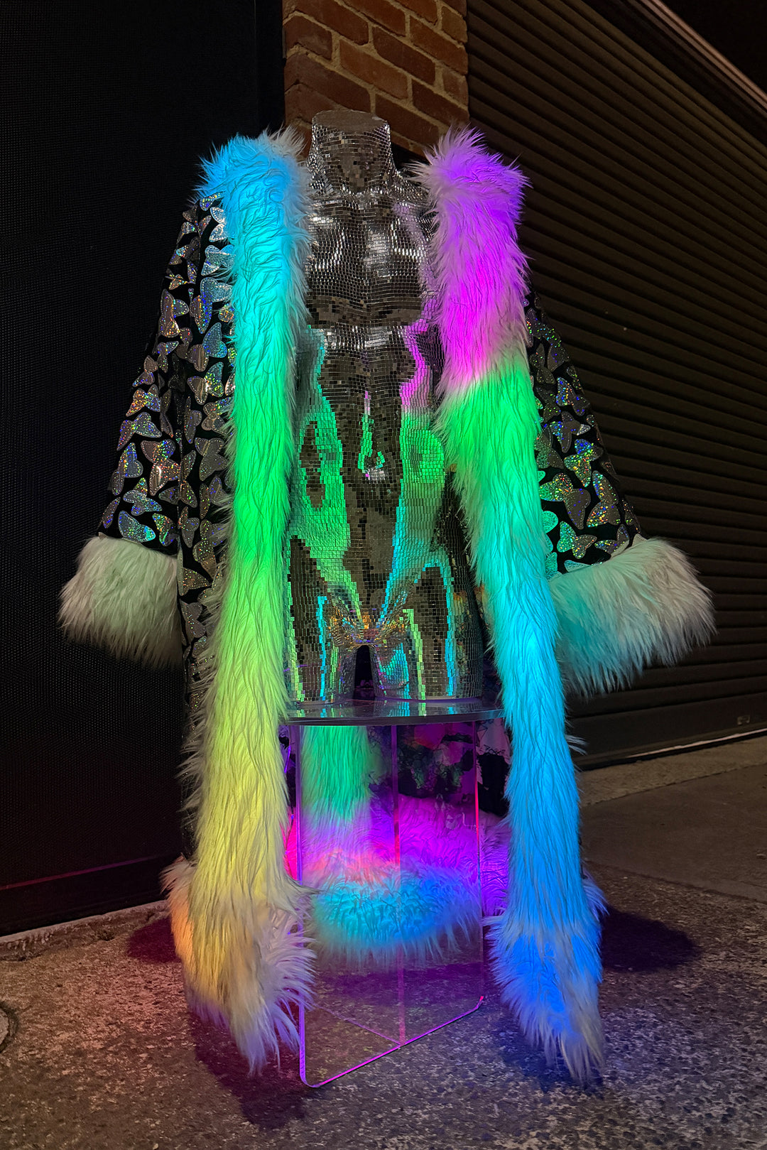 Arctic Butterfly Coat 1/1