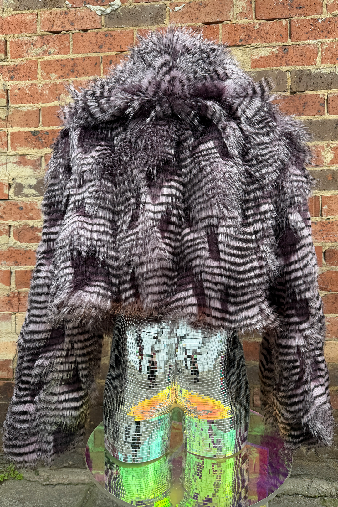 Nightbird Cropped coat (XL)